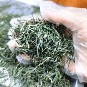 Herbata Zielona - Xin Yang Mao Jian